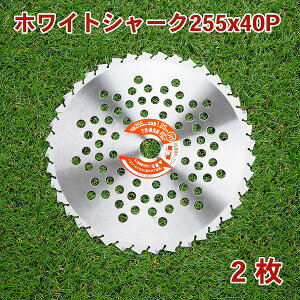 @p `bv\[ zCgV[N255mm×40P 2gRсEpi@ ֐n @pj