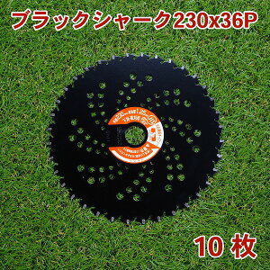 @p `bv\[ ubNV[N230mm×36P 10g ܂ƂߔEp i@p @ ֐nj