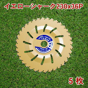 @p `bv\[ CG[V[N230mm×36P 5g ܂Ƃߔpi@ ֐n @pj