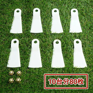 i lp Wt[n355ECOA ֐n10䕪 80 ܃ibgt(t[iCt   ֐n ւn   2ʊ)