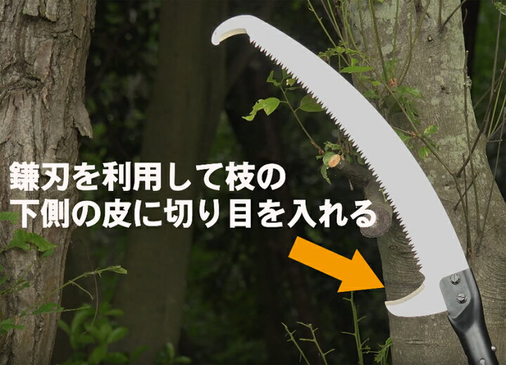 楽天市場】【大型商品配送D】シルキー Hayauchi はやうち4段 高枝切り 