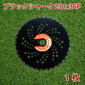 @p `bv\[ ubNV[N230mm×36P 1Epi@p @ ֐nj