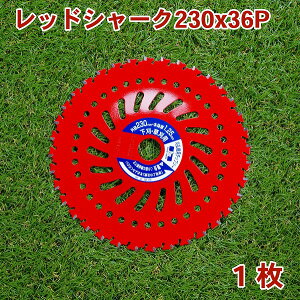 @p `bv\[ bhV[N230mm×36P 1Epi@ ֐n @pj