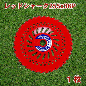 @p  `bv\[ bhV[N255mm×36P 1Epi@ ֐n @pj