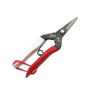 P  190mm #304 { (|  E _  ؂)