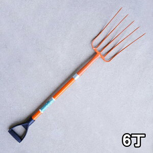 y@lizIWtH[N 5{ OXt@Co[܂Ƃߔ 6gi_ q {Y |pj