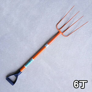 y@lizIWtH[N 4{ OXt@Co[܂Ƃߔ 6gi_ q {Y |pj