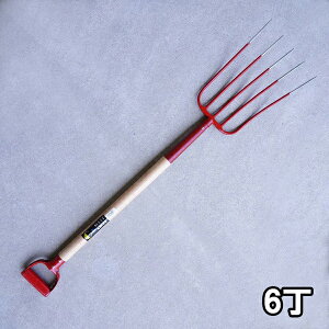 y@liz_ƒ{Yp GtH[N 5{ ؕ܂Ƃߔ 6gi_ q {Y |pj