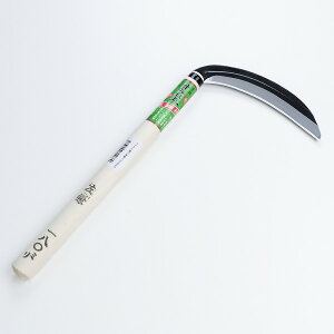 ݂  |t Аn180mm ە pi  _炩 ʉƒ |pj