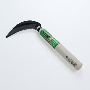 ݂ 拘 rj[TbNti ؂芙 |pi ׂقǂj