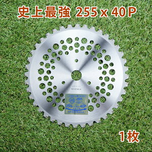 @p `bv\[ jŋ255mm×40P 1rn̑Epi@p ֐n @p)