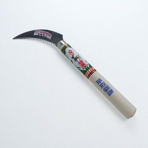 ׎ 拘 XeX rj[TbNti ؂芙 |pi ׂقǂj