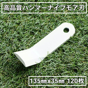 i n}[iCtA ֐n 120 [mAp 135mm×35mm