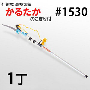 y^izBzJ}L } 邽 #1530 3m ([v ̂{ Lk )