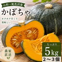 発送開始！ かぼちゃ栗かぼちゃ　メルヘン　2〜3個　5キロ　10キロ　4個から8個【農家直送】山形県産　　7月中から順…