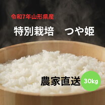 楽天市場】雪若丸 玄米 30kgの通販