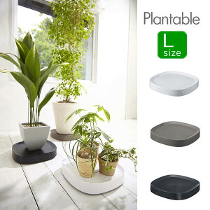 LX^[t̐Aؔg[IPlantable LTCYiv^ujyAؔg[zyLX^[tzyMzyCeAzyϗtAzyLTCYz CeAG݁Lb`Ĝ݂