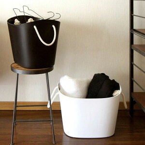 Ղ[ł_炩}`oXPbgIbalcoloreioR[jL CeAG݁Lb`Ĝ݂Xhono  킢 v[g Mtg j 