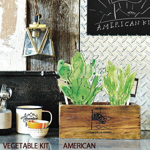 y󂠂zy10%offzVEGETABLE KIT AMERICAN CeAG݁Lb`Ĝ݂Xhono  킢 v[g Mtg j 