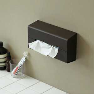 eBbVp̕ǖʃeBbVP[XIhideacoiCfARjhtissue case WALL2y{bNXeBbV Ǌ|zCeAG݁Lb`Ĝ݂Xhono  킢 v[g Mtg 