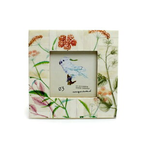 RėptHgt[IPHOTO FRAME -RAISEN-yʐ^ GR X^hz CeAG݁Lb`Ĝ݂Xhono  킢 v[g Mtg j 