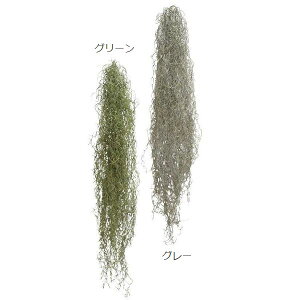 yɏtFCNO[IA[gvc EXlICfXLLyԁz CeAG݁Lb`Ĝ݂Xhono  킢 v[g Mtg j 