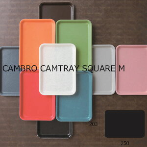 g̗ǂg[ICAMBRO CAMTRAY SQUARE M Lb`G  i` Lb`ObY v[g k V G z zj