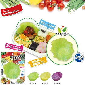 VN߂邨ٓJbvIvegecupixWJbvj×8 M R W H@ GR { VN oϓI ٓ Ɩp 킢 Jt Lb`G  i` Lb`Ob