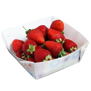 ɂȂXibNv[gIFLAT SNACK PLATE floweritbgXibNv[g t[j2 Lb`G  i` Lb`ObY v[g k V G 