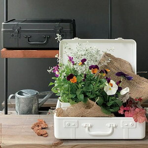 gN^̂Ȏ[P[XITRUNKSTORYigNXg[[jMyfBXvC K[fjOzCeAG݁Lb`Ĝ݂Xhono  킢 v[g Mtg j 