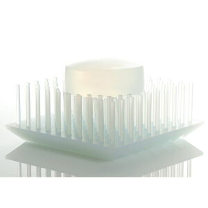 _炩ȓˋNx\[vfBbVIh+divXfB[jhTSUNTSUNiccj yΌu M vXfB[zCeAG݁Lb`Ĝ݂Xhono  킢 v[g 