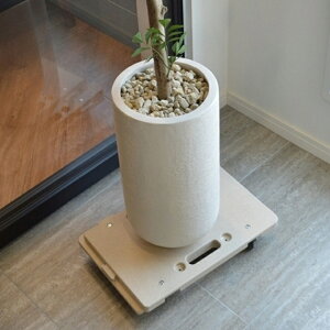 Ƃ̒Ŏg鏬ȑԁIhCOLLENDiRhjhz[L[ioCI}XjyRpNg y É LX^[ [ GR A  ȃXy[XzCeAG݁Lb`G݂