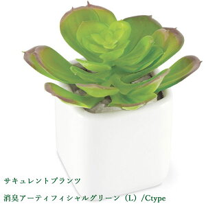 TLgvc@LA[eBtBVO[iLj/Ctype CeAG݁Lb`Ĝ݂Xhono  킢 v[g Mtg j 