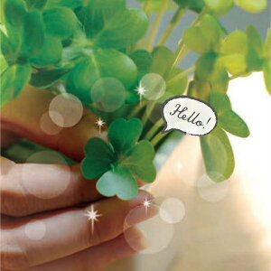 C̏򉻍ptFCNO[IDEODORANT ARTIFICIAL GREENCLOVERiN[o[j CeAG݁Lb`Ĝ݂Xhono  킢 v[g Mtg j 