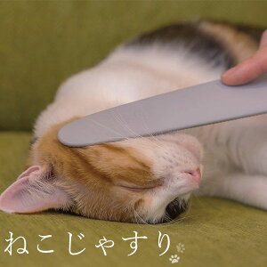 ^IJ ˂Ⴗ CeAG݁Lb`Ĝ݂Xhono  킢 v[g Mtg j 