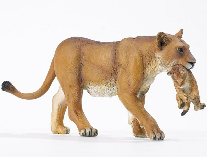 楽天市場 Wild Safari Jungle ジャングル メスライオンと仔ライオン フィギュア 動物 レプリカ Safari 人形 ライオン ライオン親子 インテリア雑貨 キッチン雑貨のお店hono おしゃれ かわいい プレゼント ギフト 内祝い 小物 Hono 照明