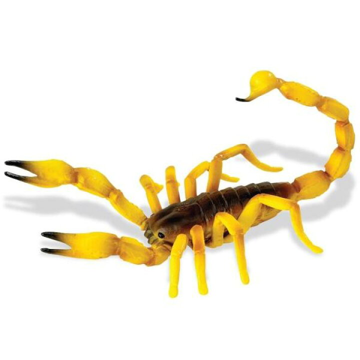 楽天市場 Hidden Kingdom Insects 昆虫達の秘密の王国 サソリ フィギュア レプリカ Safari 人形 インテリア雑貨 キッチン雑貨のお店hono おしゃれ かわいい プレゼント ギフト 内祝い 小物 Hono 照明 インテリア雑貨