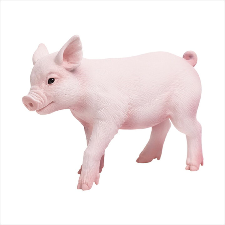 楽天市場 Incredible Creatures 仔ブタ こぶた コブタ 子ブタ 子ぶた 子豚 夏休み 自由研究 フィギュア レプリカ Safari 人形 サファリ インテリア雑貨 キッチン雑貨のお店hono おしゃれ かわいい プレゼント ギフト 小物 Hono
