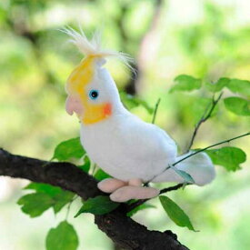 楽天市場 オカメインコ リアルの通販 楽天市場 オカメインコ リアルの通販