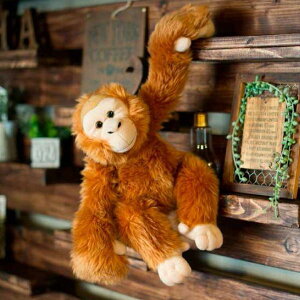 オランウータン ぬいぐるみの人気商品 通販 価格比較 価格 Com オランウータン ぬいぐるみの人気商品 通販 価格比較 価格 Com