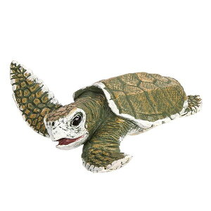 hSafariiTt@jhIncredible CreaturesiׂBjPvqE~Kxr[ytBMA  vJ RNVzCeAG݁Lb`Ĝ݂Xhono  킢 