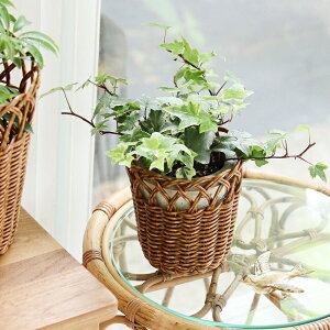 􂦂҂݂̃oXPbgIhUTILEieBjht[|bg Sy  JS  AeB[N  ϗtA qI [z