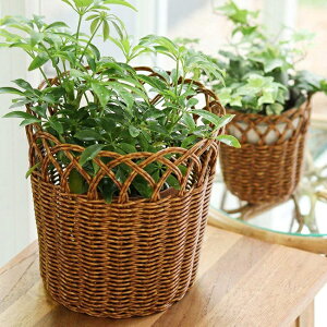 􂦂҂݂̃oXPbgIhUTILEieBjht[|bg Ly  JS  AeB[N  ϗtA qI [z