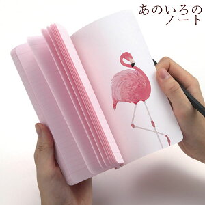 x͌邠̐F̃m[g􂠂̂̃m[g 5Zbgym[g@r@48ԁz CeAG݁Lb`Ĝ݂Xhono  킢 v[g Mtg j 