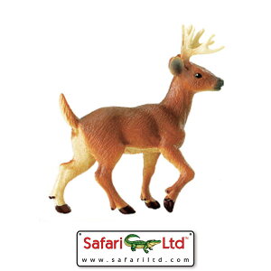 Wild Safari NorthAmerican�i�m�[�X�A�����J�j �I�X�W�J �y�t�B�M���A�z�y�����z�y���v���J�z�ysafari�z�y�l�`�z �C���e���A�G�݁��L�b�`���G�݂̂��Xhono ������� ���킢�� �v���[���g �M�t�g ���j