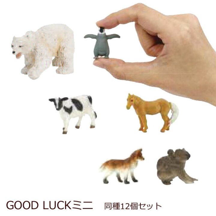 楽天市場 Safarigood Luck Minis グッドラックミニ 12個入り フィギュア 動物 レプリカ おもちゃ グッズ 人形 アニマル 動物園 幼稚園 知育玩具 子ども 子供 お子様 ケース ジオラマ ジャングル 男の子 女の子 プレゼント ミニチュア セット 模型 コレクション