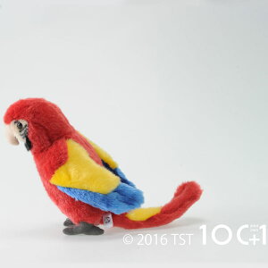 リアルで優しいぬいぐるみ!100+1 ベニコンゴウインコ インテリア雑貨&キッチン雑貨のお店hono おしゃれ かわいい プレゼント ギフト 内祝い 小物