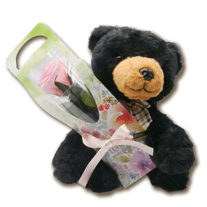 vU[uht[  킢 ʂ efBxA CeA  a LO  ̓ v[g aC @ i Patico