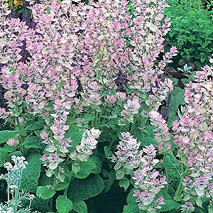 yNz N[Z[W iTrA@XNAjyCObVK[fz