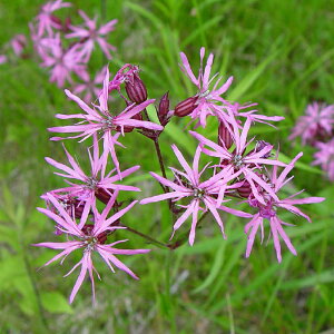 yhzNjX tXNN yCObVK[fz